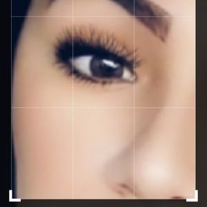 Meet your Posher, Lady diana